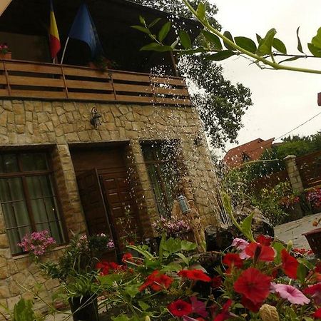 Hanul Dacilor Iasi Exterior photo