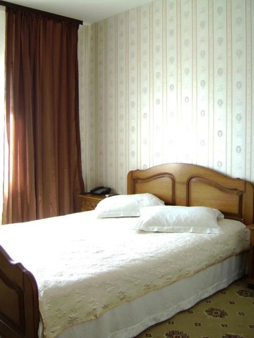 Hanul Dacilor Iasi Room photo
