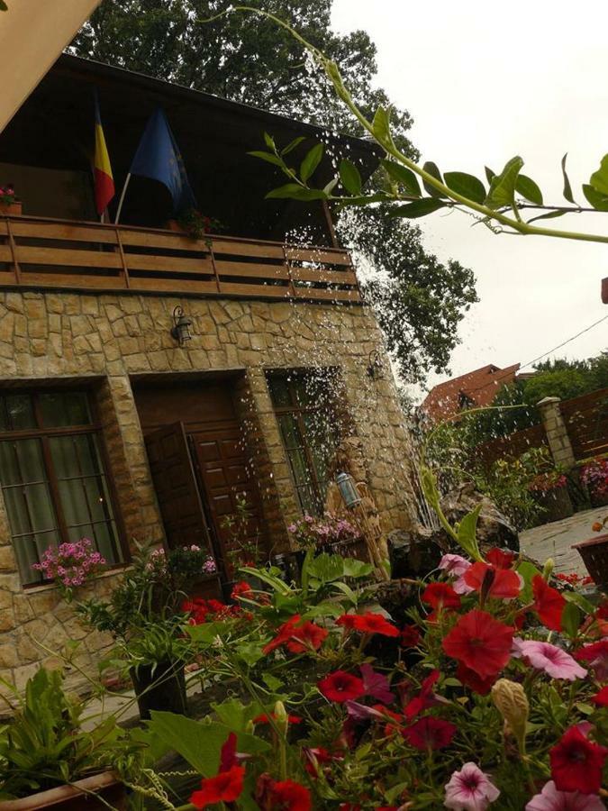 Hanul Dacilor Iasi Exterior photo